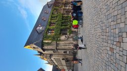 Harz2